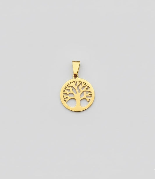 Albero della famiglia